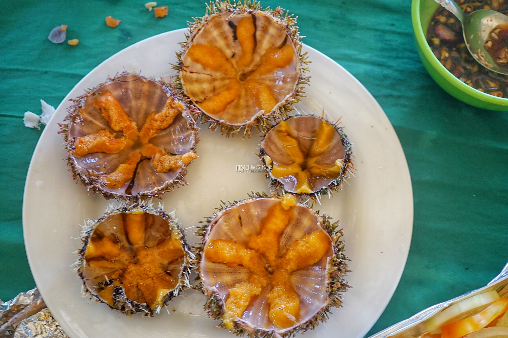 2015-05-17 115855_dh.jpg