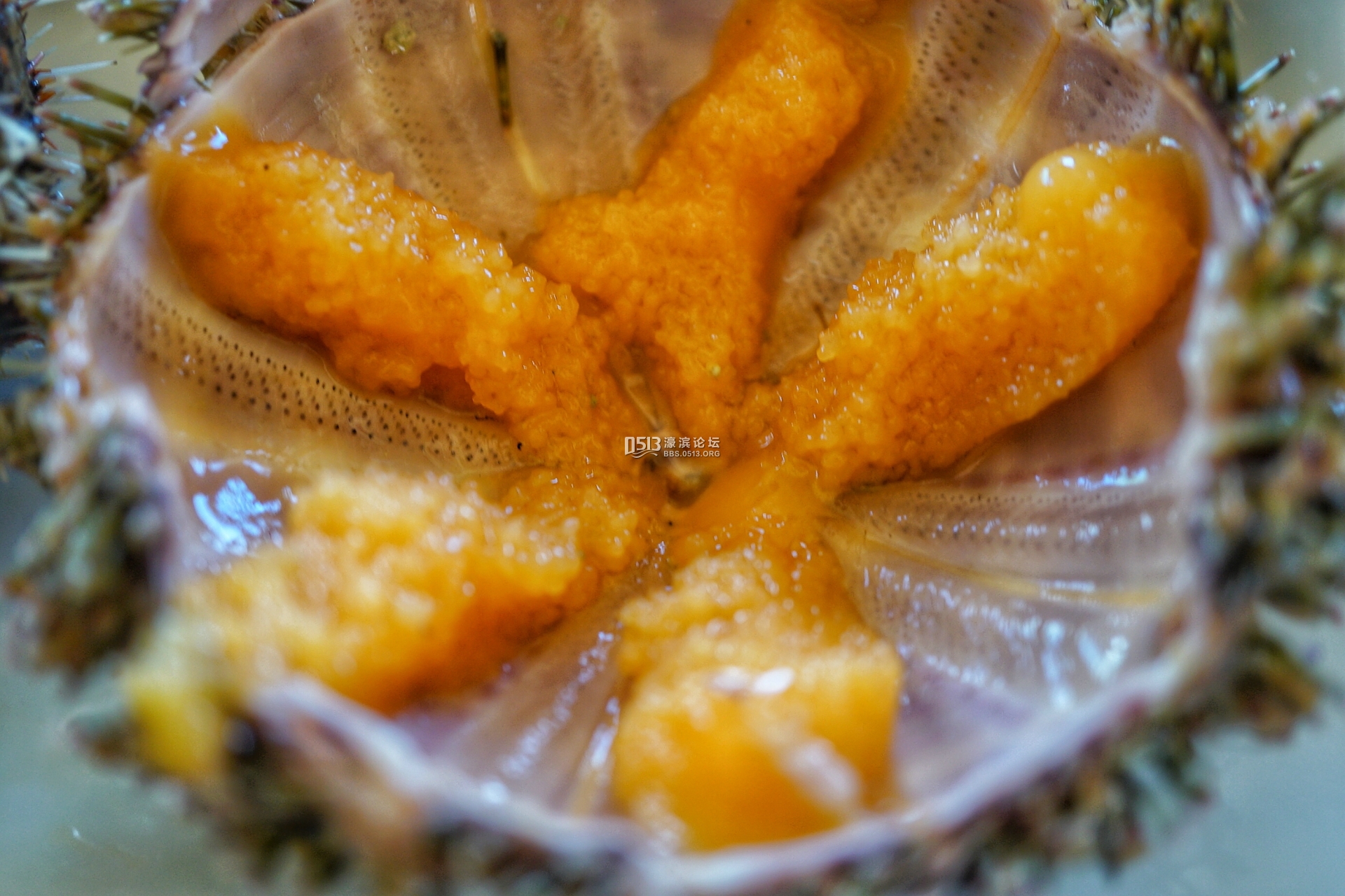 2015-05-17 115859_dh.jpg