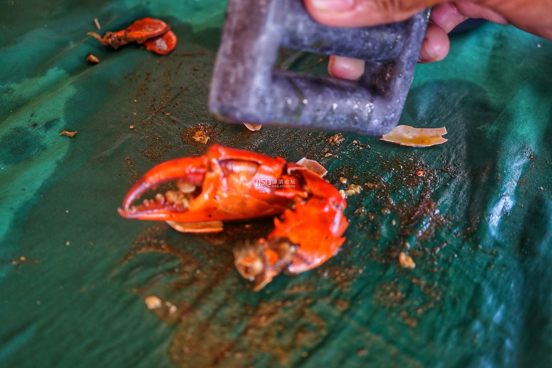 2015-05-17 120955_dh.jpg