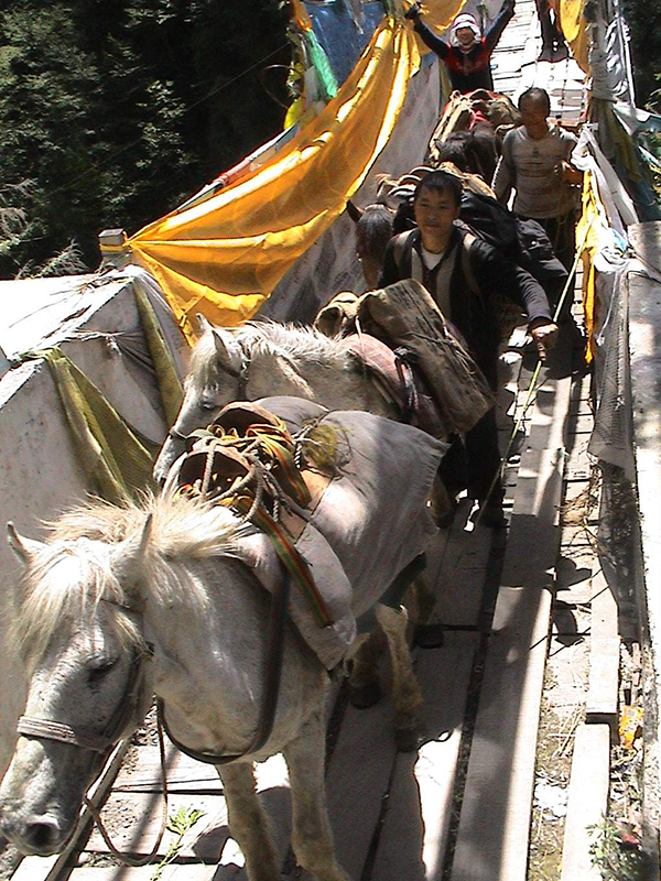 赵一凡西行记｜卖了房子去考察