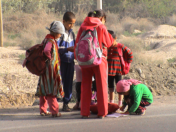 赵一凡西行记｜卖了房子去考察