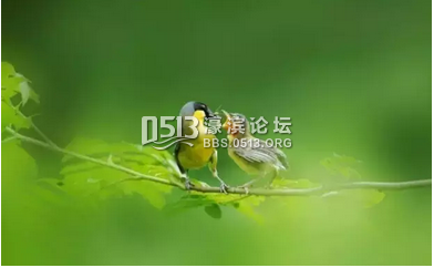 185803xbk76gp535fp350p.png