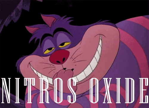 趣看｜如果小熊维尼换个画风，突然就无法直视了