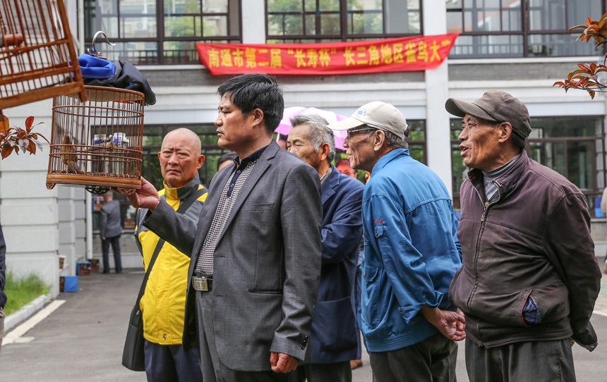 第二届长三角雀鸟大赛 钱伟章摄 (5).jpg