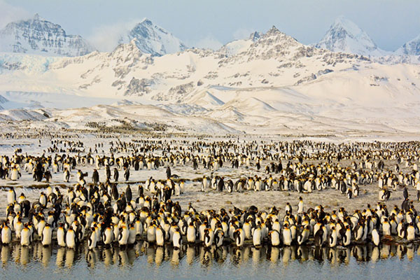 先睹为快！2016年国家地理杂志旅行摄影师大赛佳作