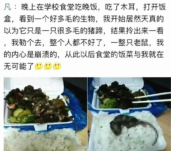 澎湃联播|比吃到老鼠更恐怖的事是……