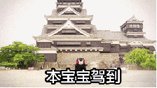 宝宝驾到.gif