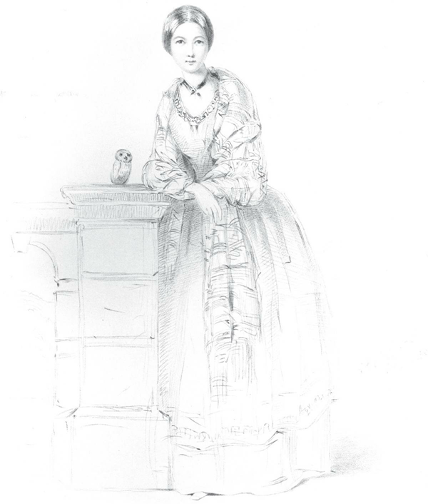 护理事业先驱南丁格尔：“提灯女士”还是“复仇天使”？