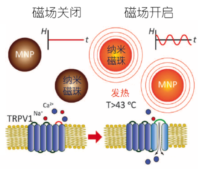 雷神、镭射眼、万磁王……操控神经哪家强？