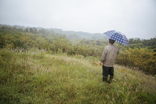 三农作家力挺贾平凹：他非常担忧乡土世界的沦陷