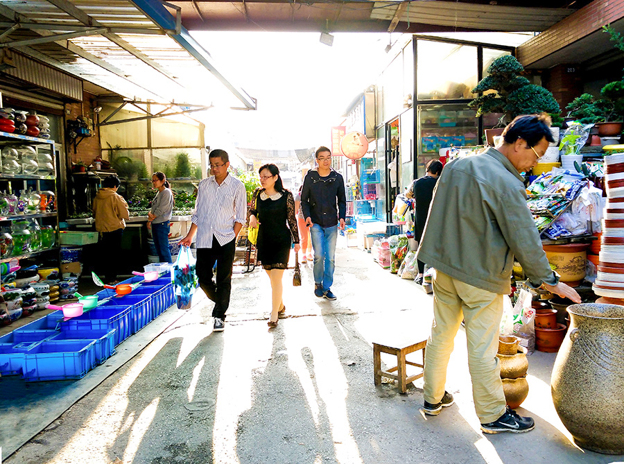 夕阳下的花鸟市场