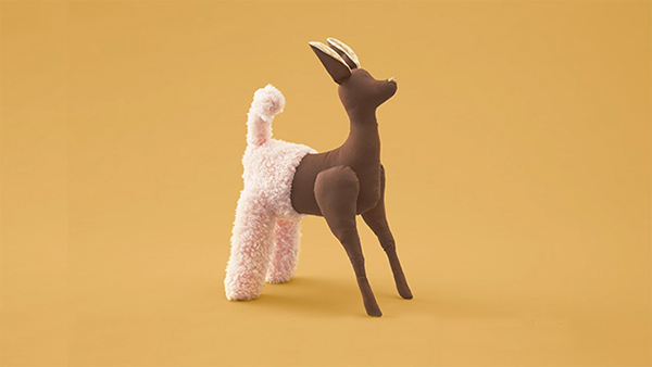 趣看｜把器官捐献讲成童话，残酷主题也可以很温柔