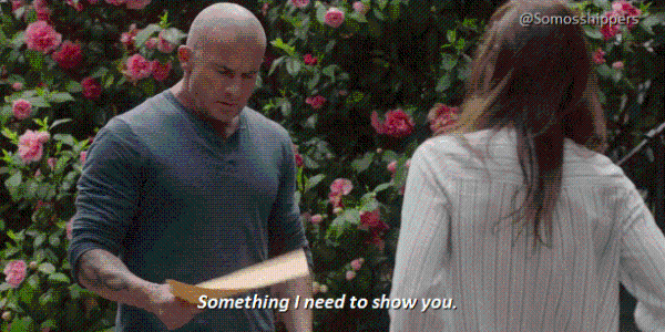 炸了，《越狱》重启预告让我泪流满面