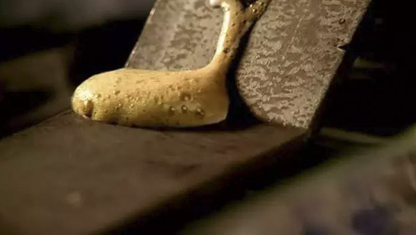 炸了，《越狱》重启预告让我泪流满面