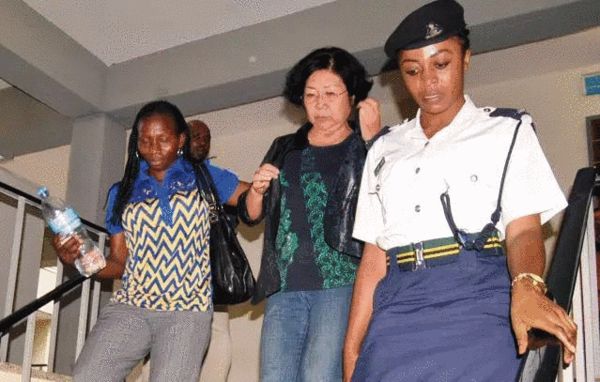 非洲观察｜“象牙女王”落网，中国人仍是全球最大买主