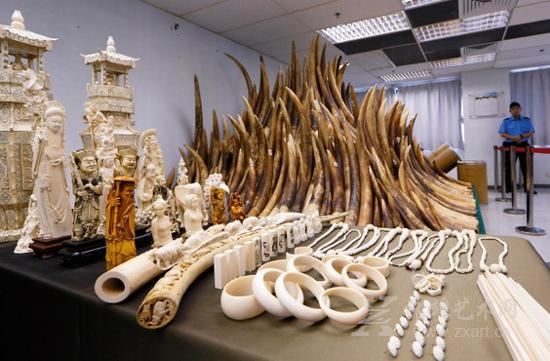 非洲观察｜“象牙女王”落网，中国人仍是全球最大买主