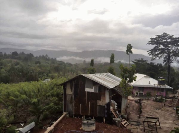 非洲观察｜“象牙女王”落网，中国人仍是全球最大买主