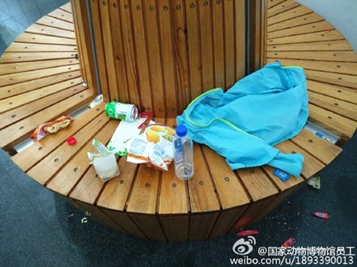 澎湃联播|熊孩子到处捣蛋，如何反击？