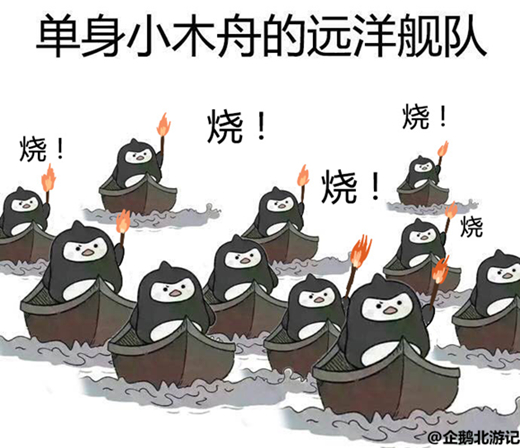 澎湃联播|单身狗如何优雅地过好520、521？