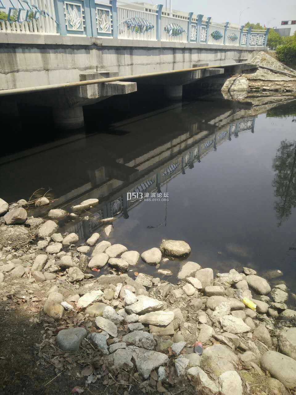 苏通园区江达路沿线水体墨黑恶臭！！！