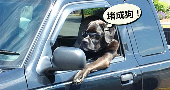 澎湃联播|中环断桥背后那些不为人知的故事