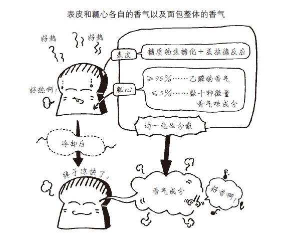 刚出炉的面包为什么会有香气？