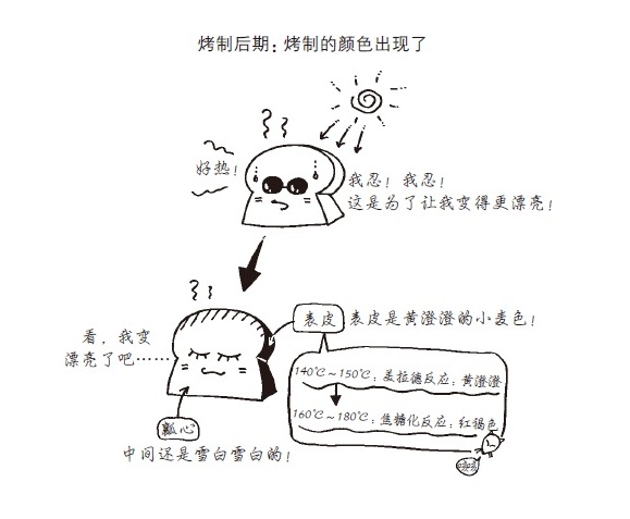 刚出炉的面包为什么会有香气？