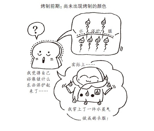 刚出炉的面包为什么会有香气？