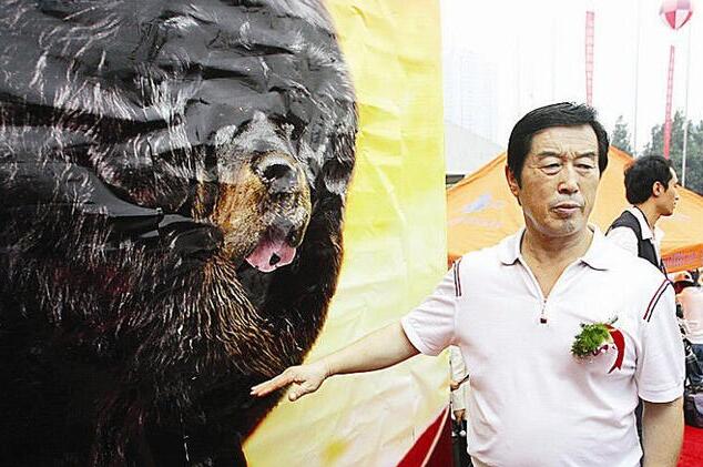 藏獒崩盘，遭殃的还有藏区野生动物