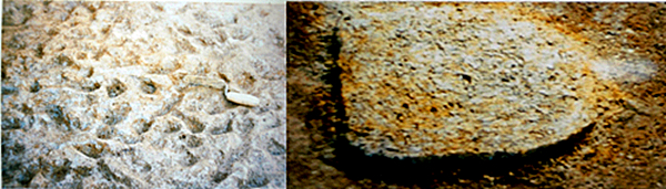 访谈︱杨楠：良渚遗址是“最早的中国”么？