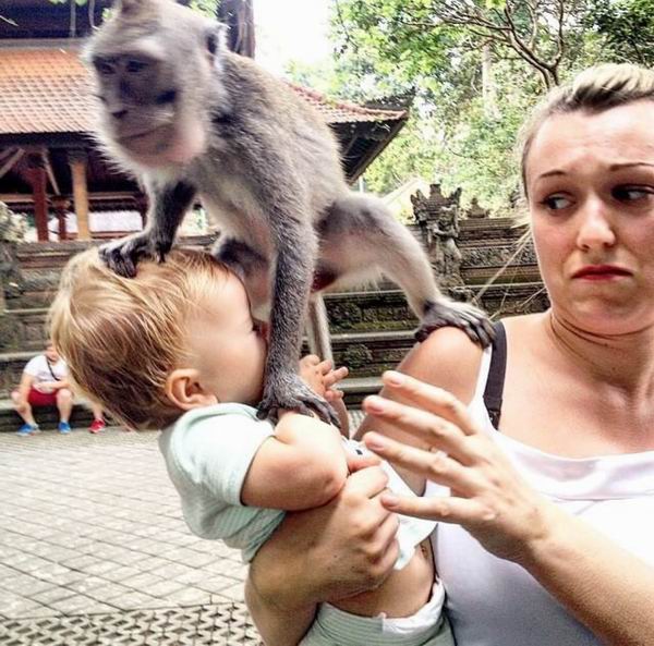 趁着一年的带薪产假，她带上新生女儿环游世界