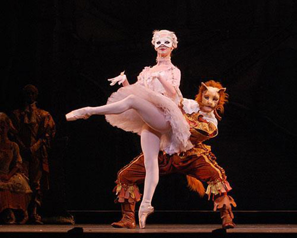 趣看｜猫咪化身灵魂舞者跳起芭蕾，看宠物如何优雅成精