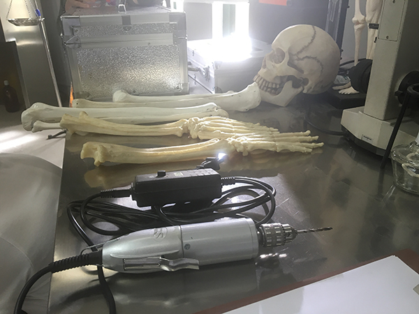 探班｜请《法医秦明》好好破案，谈恋爱的事情就交给偶像剧