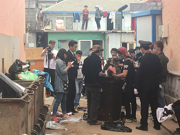 探班｜请《法医秦明》好好破案，谈恋爱的事情就交给偶像剧