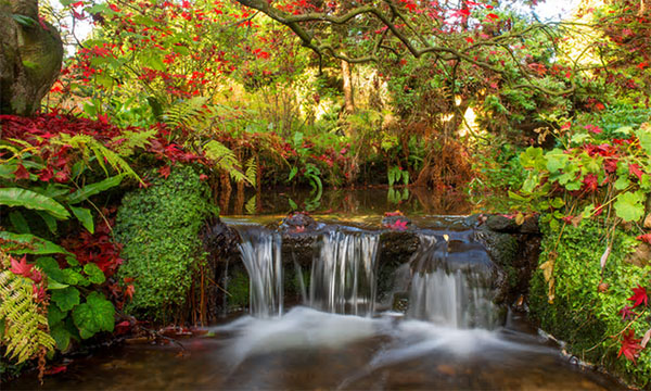 去英国，探访秘境花园