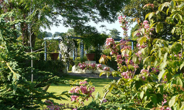 去英国，探访秘境花园