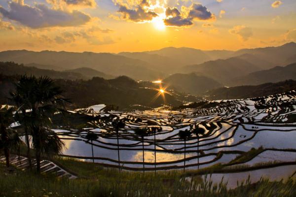 重思“四大发明”：驯化水稻、陶瓷、丝绸更伟大