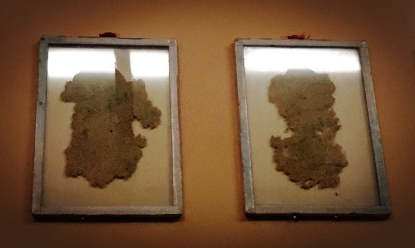 重思“四大发明”：驯化水稻、陶瓷、丝绸更伟大