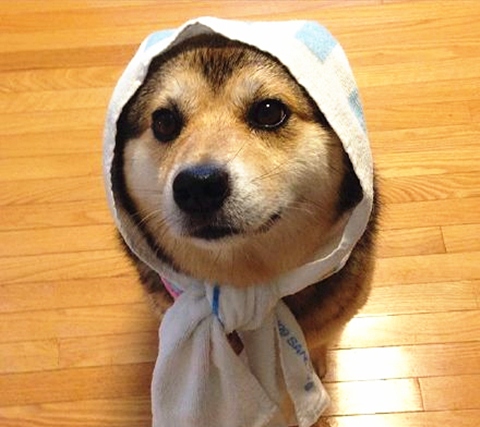 澎湃联播|不管老婆多少岁，打铁还需自身硬