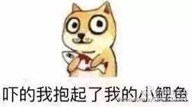 “霸道”系列多了一个翻译官，观众就是来找虐的