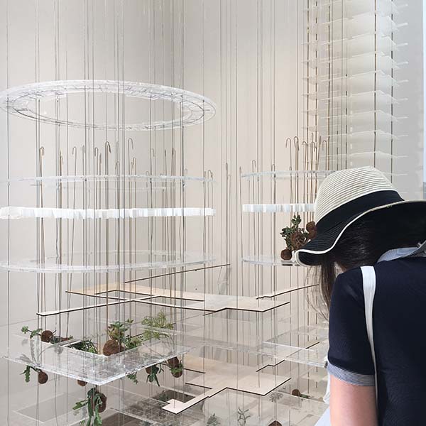 看展览|威尼斯建筑双年展巡礼，多元议题建筑的“前线汇报”