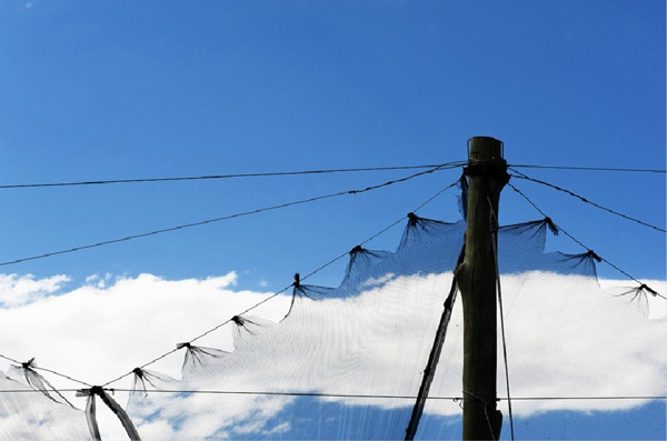 跟着葡萄酒大师去旅行