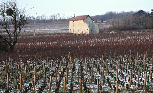 跟着葡萄酒大师去旅行