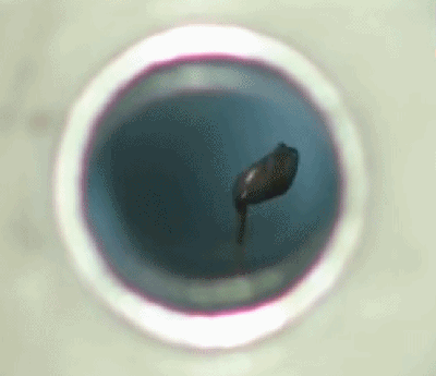 《X战警：天启》果壳评论音轨