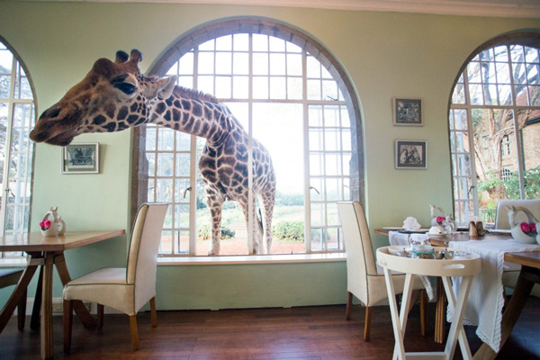 世界奇幻旅店六选