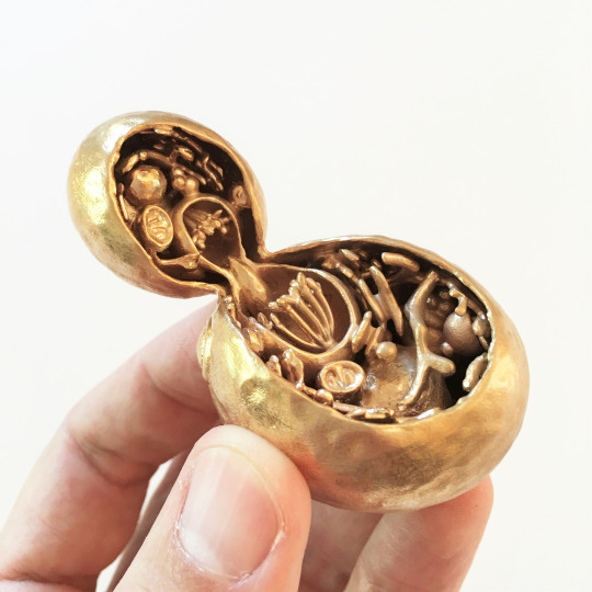 高考动图：生物篇