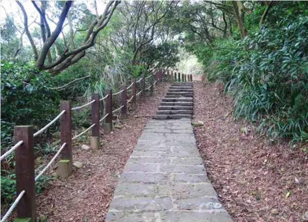 垃圾焚烧发电厂的台湾经验：从“八年抗战”到婚纱照外景地