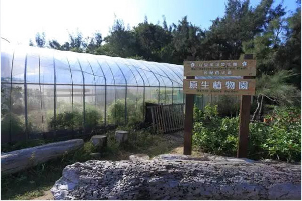 垃圾焚烧发电厂的台湾经验：从“八年抗战”到婚纱照外景地