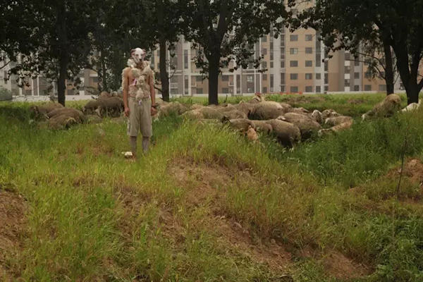 这大概是今年上海最“冷”的影展