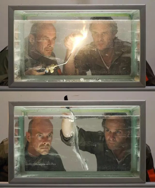 这大概是今年上海最“冷”的影展